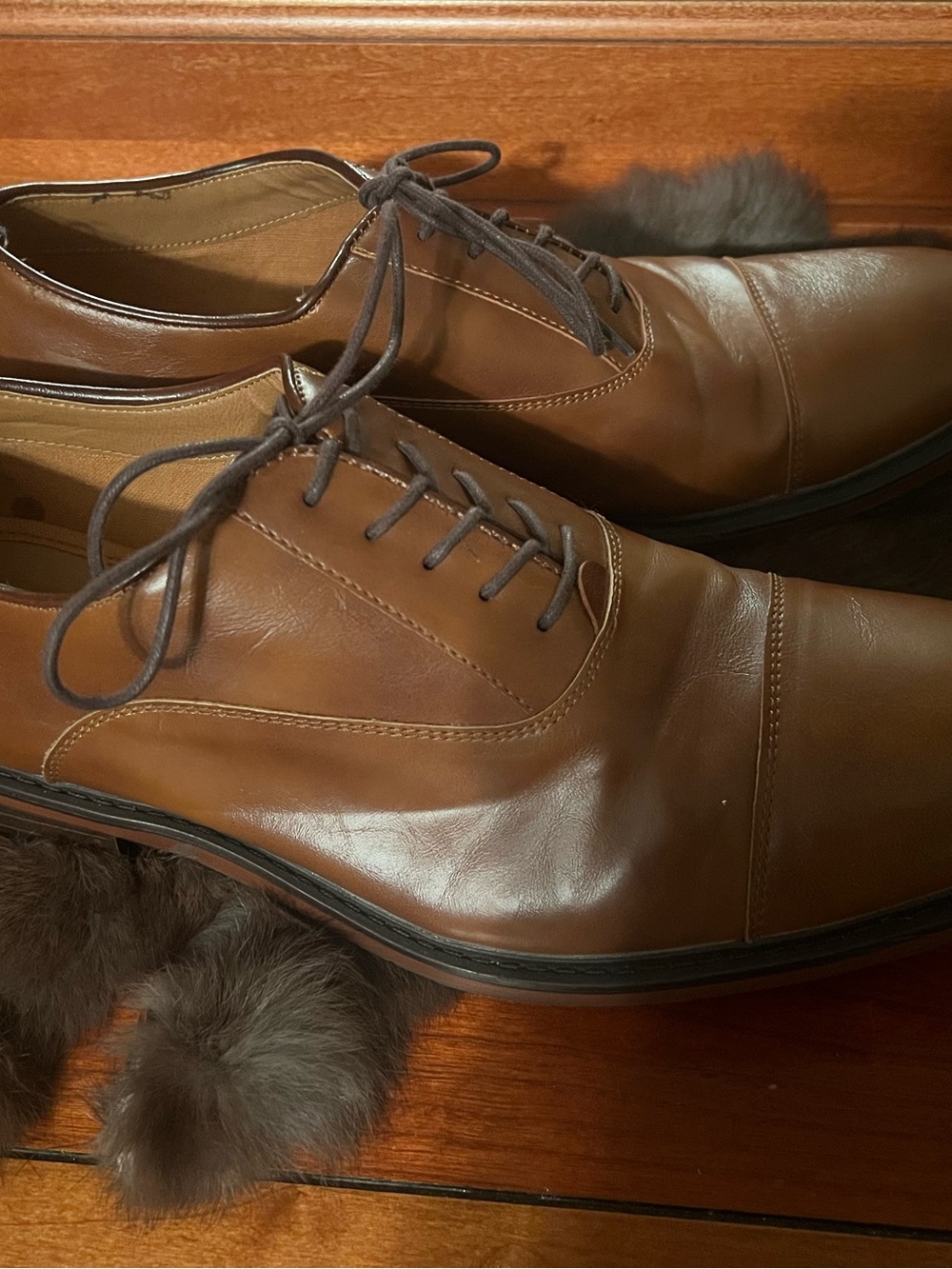 Goodfellow & Co Brown Leather Cap-Toe Oxfords